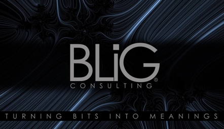 Blig Consulting